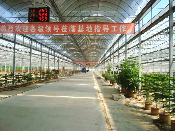 戳我试试